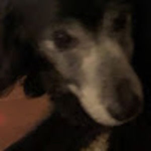 Meet your Posher, Jane